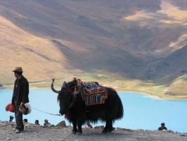 Tibetan Ethnic Flavor